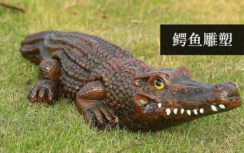 鱷魚雕塑 鱷魚雕塑